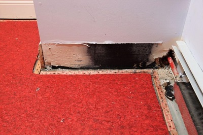 Mold Removal Services Can Restore Your Home to its Original Condition